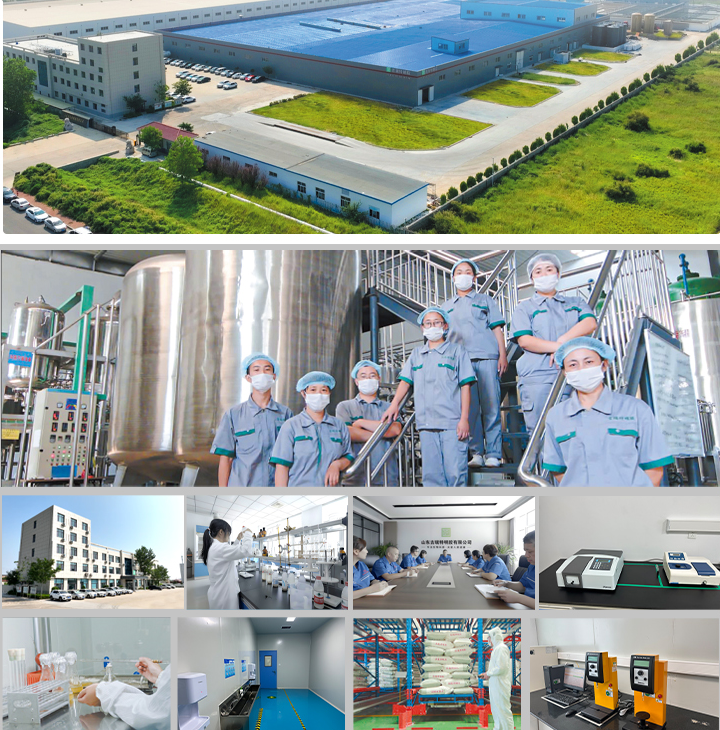 fic 山東吉瑞特明膠有限公司